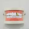 Moda Szelki Pojedyncze metalowe Ząb Grillz Złoto Srebrny Kolor Dental Grillz Top Dolny Hiphop Zęby Czapki Body Biżuteria dla kobiet Mężczyźni Wampir