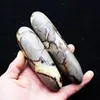 محفظة 5pcs رهيبة كبيرة ملمع Septarian كريستال العقيدات متعة العصا العينة الطبيعية حقيقية Septerye جوهرة الأحفوري التنين حجر تدليك عصا