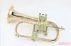 Margewate Phosphor Copper Gold Lacquer Högkvalitativ Flugelhorn BB Trumpet Brand Quality Monel Ventiler för studenter med fodral Gratis frakt