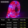 DC 12V LED Grow Light Full Spectrum 5M LED Strip Light 5050 LED Phyto Plant Growth Lampor för växthus Hydroponisk växtodling