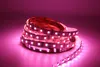 12V/24V RGBWW LED Bandes Dimmable flex Rope Light SMD5050 16.5FT 300LEDs Bande Lumineuse Étanche 5 Couleurs en 1 Bande LED