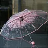 Parapluie Transparent Sakura romantique en PVC, parapluie de fête de mariage, à longue poignée, bâton droit, cerise paraguay, parapluie Transparent