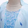 Filles de détail dessin animé Cosplay Frozen 2 robes enfants Cosplay robe de soirée robes de princesse Yestidos enfants Designer Costume à manches longues 4628395