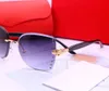 Forma-Womens Designer óculos de sol de luxo óculos de sol para Mulher Moda Adumbral Glasses 0005 6 cores Altamente qualidade
