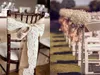 chandeliers de table de mariage