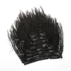 VMAE 4A 4B 4C Afro Kinky Curly Clip-In-Haarverlängerung, modisch, weich, glatt, seidig, 100 % natürliches schwarzes brasilianisches Echthaar