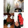 Flores artificiales de orquídeas Seda de seda Phalaenopsis Flor falsa para la fiesta de bricolaje Bouquet Wedding Home Hotel Hotel