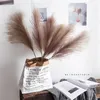 10 Pcs Pampas Grass Decor Phragmites &Reed Flowers Home Christmas Decoration Dried Flower Bouquet Natural Plants