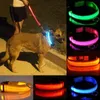 Collare per cani Nylon Led Pet Dog Colletto Night Safety Lamped Glow In The Dark Dog Leash Dogs Collari fluorescenti luminosi per cani