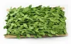 Feuille de simulation feuilles vignes vertes guirlande accessoires de décoration feuilles vertes drapées feuilles de rotin fleurs artificielles EEA403