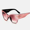 Luxury-TOYEARN Fashion Sexy Ladies Cat Eye Sunglasses Women Vintage Brand Big T Frame Tom Gradient Sun Glasses Female Oculos UV400