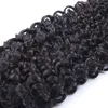 Brasilianische jungfräuliche menschliche Haare Afro Kinky Curly Wave unverarbeitete Remy -Haarextension