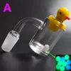 Top Quality 5mm Bottom XL Flat Top Quartz Banger Nail With Colored Cactus Duck Carb Cap Luminous Terp Pearl Insert For Glass Bongs