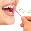 Plast Dental Floss Stick 25st / Set Dental Toothpick Bomull Floss Tandpetare Stick För Oral Hälsa Tand Rengöringsredskap Ange GGA2506