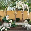 Customize DIY Wedding Backdrop Decor Iron Ring Arch Background Shelf Frame For Outdoor Indoor Centerpieces Decoration Props