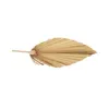 Liść wentylatora dłoni suszony kwiat naturalny suszony liść palmowy wentylator wentylatora