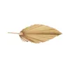 Palm Fan Leaf Dried Flower Natural Dried Palm Leaf Fan Plant DIY Party Art Wall Hanging Wedding Decor5135540