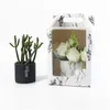 19cmx19cmx30cm Transparent fönsterblomma presentförpackning, Alla hjärtans dag blomma packning låda, pappers handväska fabrik grossist LX2371