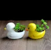 Pequeno pato vaso de flores cerâmica suculenta plantador decoração criativa bonito vaso desktop casa e jardim decoração ornaments8767525
