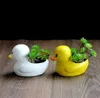 Suckulent pot keramisk liten anka keramisk blomma pott dekoration kreativ söt potted skrivbordsgrön växthållare trädgård dekor ornament