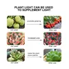 Full Spectrum E27 220V LED Plant Grow Light Bulb Fitolampy Phyto Lamp For Indoor Garden Plants Flower Hydroponics Grow Tent Box7995262