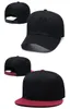 Spedizione gratuita-2019 Nuovo cappello regolabile da baseball Arizona Snapback Cap