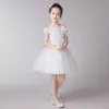 Elegant Flower Girls Dress Kids Flat Shoulder Flower Applique Tulle Dress Thanksgiving Baby Girl Christmas Dress5406293