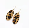 Mode Gold Farbe Geometrie Leopardenmuster Charme Baumeln Druzy Ohrringe Für Frauen marke Schmuck
