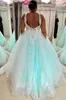 Mint Groene Prom Jurken V-hals Backless Sweep Train Applicaties Lange Formele Avond Feestjurken voor Sweet 15 Graduation Jurk Plus Size