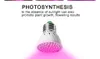 Full Spectrum E27 220V LED Plant Grow Light Bulb Fitolampy Phyto Lamp For Indoor Garden Plants Flower Hydroponics Grow Tent Box