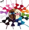 1 Piece Adjustable Dog Cat Bow Tie Neck Tie Pet Bow Puppy Bows Tie Different Colors Supply