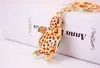 Turtle Pendant Key Ring Nouvel arrivée colorée en cristal strass de métal Animal Fashion Car Chains de clés d'anniversaire Couvertures Keychains Keyrin4101157