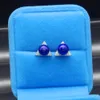 Female charm freshwater pearl earrings 925 silver set zircon pearl earrings DIY fashion sterling silver pearl jewelry