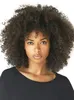 Verworrene lockige Lace-Front-Echthaar-Perücken für Frauen, natürliches Schwarz, 180 % Dichte, brasilianische Afro-Bob-Spitze-Frontal-Perücke, 25,4–55,9 cm