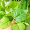 artificial plants greenery for decoration Fake Hanging Vines Plants Leaves Garland wall decor balcony Home Wedding Decoration accessories