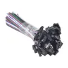 Câble de connecteur LED JST SM mâle femelle, 100 paires, 5 broches, avec fil de 15cm de Long, pour bande LED 5050 SMD RGBW RGBWW 5060051