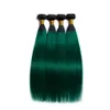 Silanda Hair Ombre Color T 1BDark Green Straight Remy Human Hair Weft 3 Weaves Bundles With 4X4 Lace Closure5323654