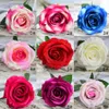 Kunstmatige rozen simulatie flanelette rozen bruiloftdecoratie vasthouden bloemen hotel decoratie woninginrichting nepbloemen xd22850