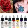 30ml Natural Plant Tattoo Bläckpigment för halv-permanent ögonbryn Eyeliner Lip Body Arts Paint Makeup Tattoo Tillbehör Verktyg TSLM2