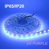 Umlight1688 nouvelle bande lumineuse LED 50 M 5050 SMD 60 LED s/m UV violet Flexible DC 12 V lumière LED bande d'éclairage ruban lampe