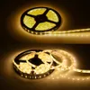 DC12V 5M 300LED IP65 IP65 Imperpose 5050 SMD RVB LED LETH EPOXY DÉCORAGE DE JARDIN HOME