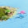 Söta sköldpaddor havssköldpadda ekologiska flaskorprydnader Seaview Decoration Moss Terrarium Micro Landscape Accessories Fairy Garden Di9946399