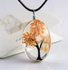 3525mm Fashion Plant Dried Flower Pendant Starry Life Tree Necklace Time Gemstone DIY Handmade Glass Jewelry Whole k4218207336