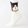 Solid Dog Face Student Socks Cute Cartoon Dog And Cat Ears Girls Socken Pure Cotton Absorbent Socks M121 Free Shipping