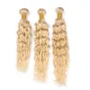 Virgin Brasilian Human Hair Ren Blond Färg Vattenvåg Väska Bundlar 3st Lot Platinum Blond Våt och Vågigt Human Hair Wefts Extensions