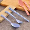 4 Colors Wheat Cutlery Set Exquisite Travel Eco-Friendly Portable Camping Tableware Spoon Fork Chopsticks Health Kitchen Tools Set BH1953 ZX