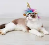 Halloween Pet Licorne Forme Décoratif Chapeau Articles De Fête Chat Chien Pet Chapeaux Cos Halloween Pet Costume Accessoire GB1285