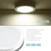 indoor flush mount