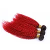 # 1B / Rouge Foncé Racine Ombre Crépus Bouclés Péruviens Cheveux Humains Tisse 3 Pcs Double Trames Bouclés Rouge Ombre Vierge Péruvienne Bundles de Cheveux Humains Offres