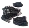 4B 4C Afro Kinky Curly Clip in Human Hair Extensions Natural Black Full Head Brazilian Remy Hair Clip ins Free Shipping